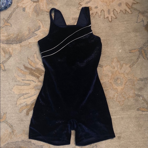 Danskin Other - Danskos dk blue velvet unitard